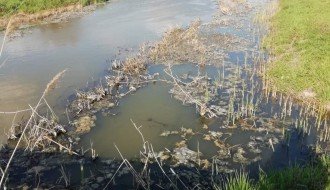 Zagađenje kanala Palić Ludoš