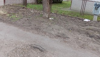 Udarna rupa u Ulici Mihajla Pupina