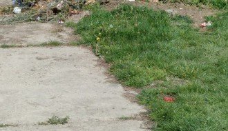 Zapušteno Pravoslavno groblje u Aleksandrovu