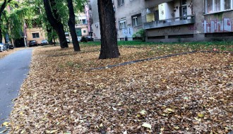 Sakupljanje i paljenje lišća