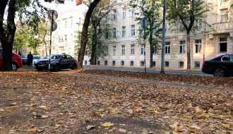 Sakupljanje i paljenje lišća