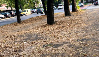 Sakupljanje i paljenje lišća