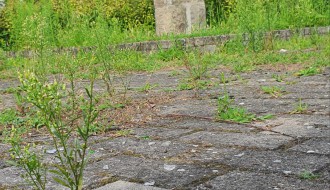 Zapušten Trg Paje Jovanovića u Aleksandrovu