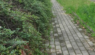 Zapušten Trg Paje Jovanovića u Aleksandrovu