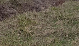 Kanal pun smeća u ulici 51. Divizija