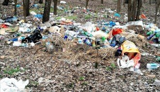 Bacanje smeća, krađa drva i drugi problemi u Kelebijskoj šumi