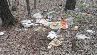 Bacanje smeća, krađa drva i drugi problemi u Kelebijskoj šumi