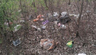 Bacanje smeća, krađa drva i drugi problemi u Kelebijskoj šumi