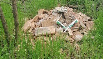 Bacanje smeća, krađa drva i drugi problemi u Kelebijskoj šumi