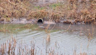 Puštanje kanalizacije u kanal Palić-Ludaš