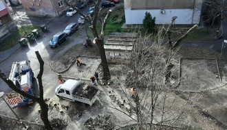 Orezivanje drveća u neselju Tokio