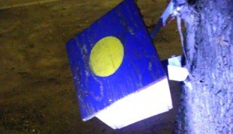 Ko treba da ukloni zakovanu kutiju na drvetu (Donji Tavankut)