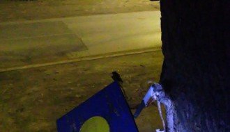 Ko treba da ukloni zakovanu kutiju na drvetu (Donji Tavankut)