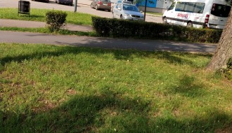 Bahato parkiranje na travi kod bazena na Prozivci