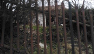 Ilegalni migranti kod Pionira