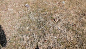 Smeće u centru Bikova