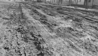 Asfaltiranje ulice Ferenci Ibolja