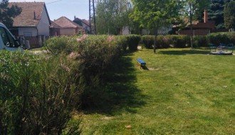 Zapušteno dečije igralište u MZ "Peščara"