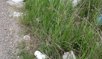 Smeće u Zorkinoj ulici