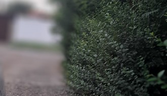 Raskrsnica Novoselske i Glamočke nepregledna zbog neuređenog zelenila