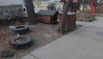 Opasnost od agresivnih pasa u Aleksandrovu