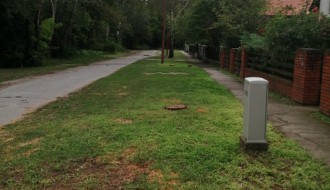 Tri stabla isušene breza u Bohinjskoj ulici na Paliću