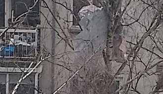 Fasada sa zgrade na Radijalcu pala između grane drveta