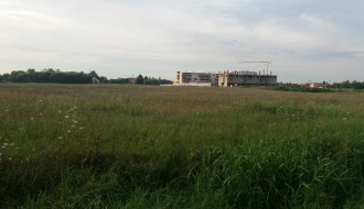 Košenje ambrozije u Kireškoj ulici