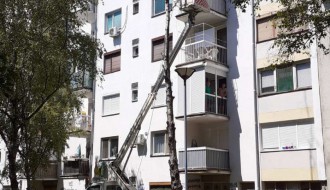 Suva breza u ulici Dušana Petrovića