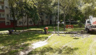 Suva breza u ulici Dušana Petrovića