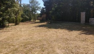 Rasadnik ambrozije na Kelebiji