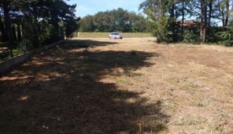 Rasadnik ambrozije na Kelebiji