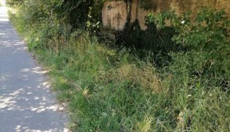 Trava oko prve kasarne (u Ulici Vuka Mandušića)