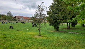 Škola u Malom Bajmoku postala mesto za ispašu