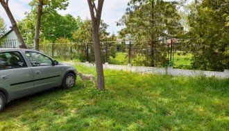 Škola u Malom Bajmoku postala mesto za ispašu