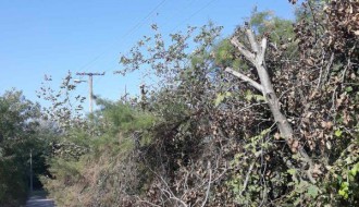 Skadarlijska ulica u rupama