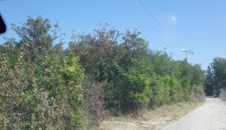 Skadarlijska ulica u rupama