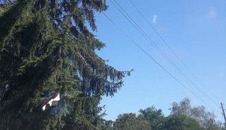 Skadarlijska ulica u rupama