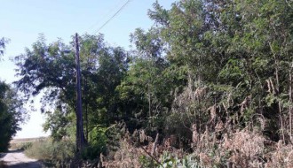 Skadarlijska ulica u rupama