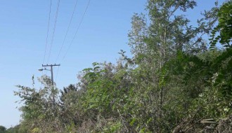 Skadarlijska ulica u rupama