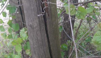 Nagnuta bandera elektrovoda u Jorgovanskoj ulici