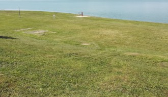 Ambrozija na Peščanoj plaži na Paliću