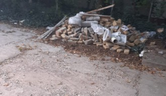 Ambrozija u centru grada koju godinama niko ne kosi