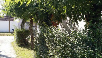 Skriveni znak u Novoselskoj ulici