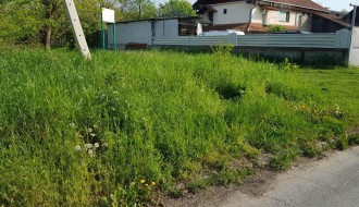 Nemarnost - plac zarastao u travu