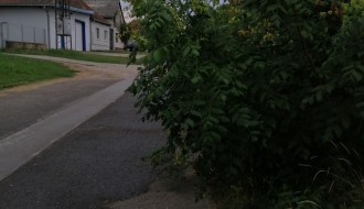 Zapuštena staza i nepregledna raskrsnica u Aleksandrovu (Verušićka ulica)