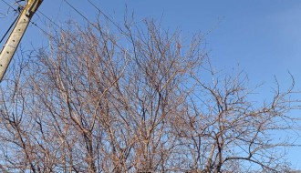 Uređivanje više površina u Ulici Cvetka Manojlovića