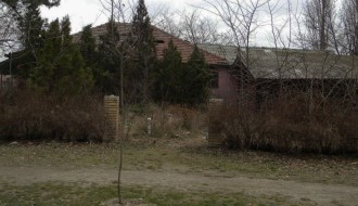 Sadnja novog drveća - Dudova šuma