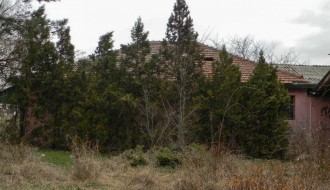 Sadnja novog drveća - Dudova šuma