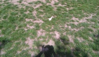 Igralište u kerskom naselju